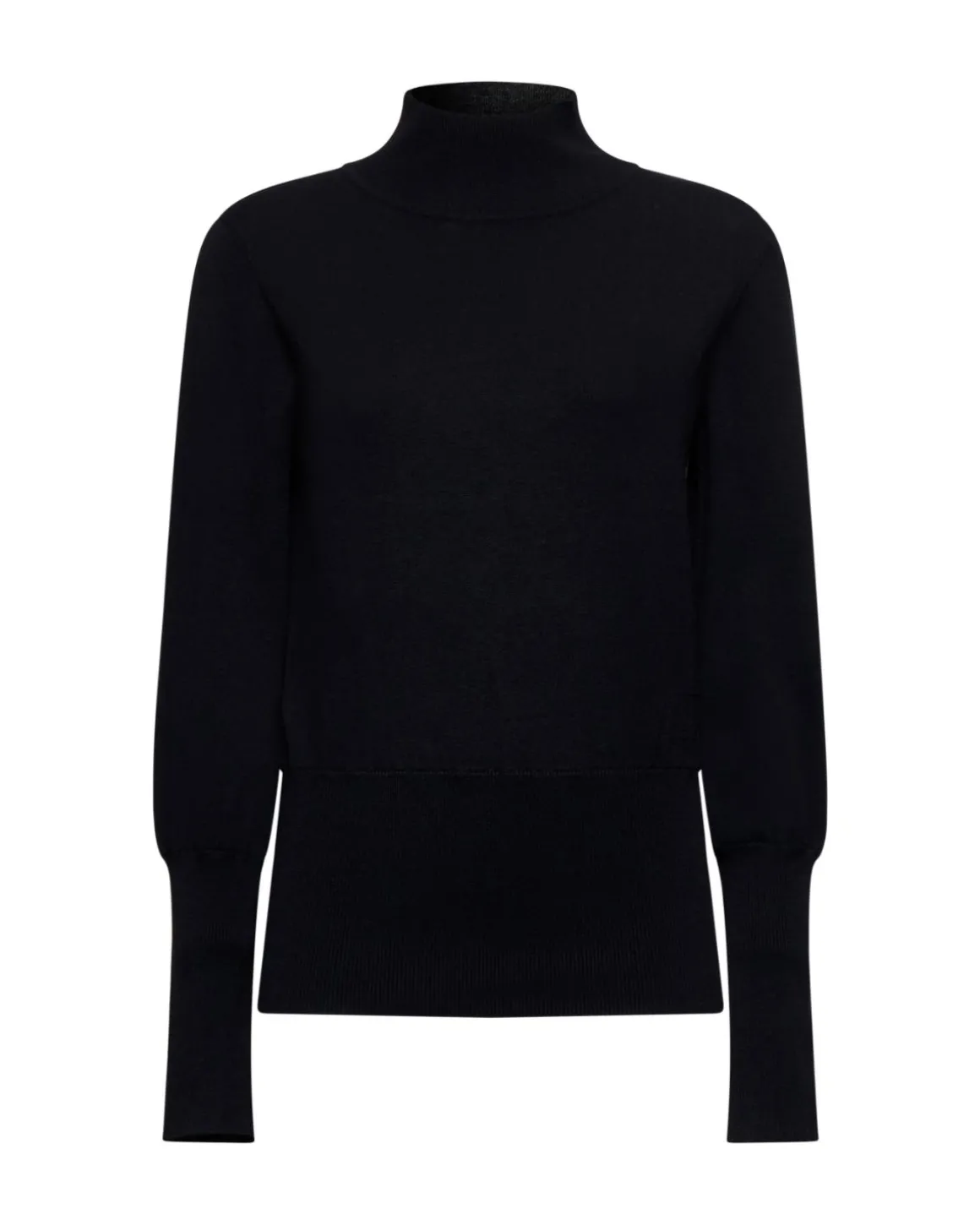 Fitted turtleneck sweater